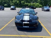 1999 Ford Mustang GT for sale in Michigan (ID-134145)
