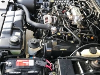 1999 Ford Mustang GT for sale in Michigan (ID-134145)