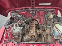 1999 Jeep Wrangler for sale in Michigan (ID-131803)