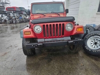 1999 Jeep Wrangler for sale in Michigan (ID-131803)