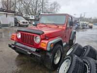 1999 Jeep Wrangler for sale in Michigan (ID-131803)