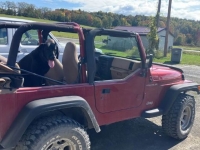 1999 Jeep Wrangler for sale in Michigan (ID-137162)