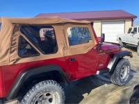 1999 Jeep Wrangler for sale in Michigan (ID-137162)