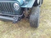 1999 Jeep Wrangler for sale in Michigan (ID-139574)
