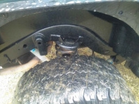 1999 Jeep Wrangler for sale in Michigan (ID-139574)