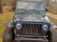 1999 Jeep Wrangler for sale in Michigan (ID-139574)