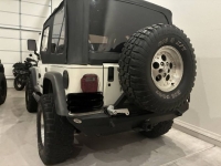 1999 Jeep Wrangler for sale in Michigan (ID-154876)