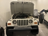 1999 Jeep Wrangler for sale in Michigan (ID-154876)