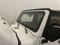 1999 Jeep Wrangler for sale in Michigan (ID-154876)
