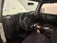 1999 Jeep Wrangler for sale in Michigan (ID-154876)