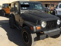 1999 Jeep Wrangler for sale in Michigan (ID-154920)