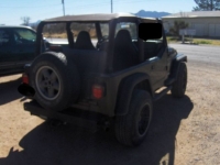 1999 Jeep Wrangler for sale in Michigan (ID-162229)