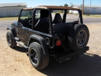 1999 Jeep Wrangler for sale in Michigan (ID-162229)