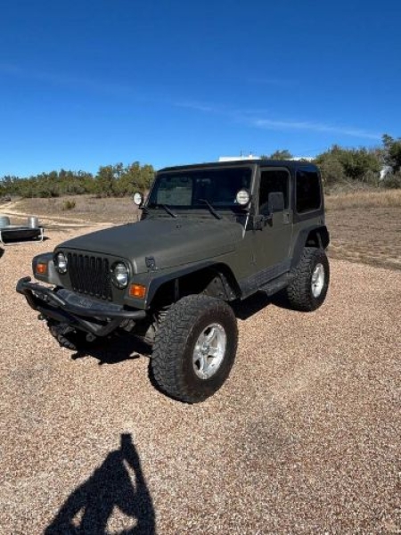 1999 Jeep Wrangler for sale in Michigan (ID-162541)