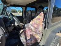 1999 Jeep Wrangler for sale in Michigan (ID-162541)