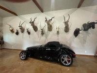 1999 Plymouth Prowler for sale in Michigan (ID-154755)