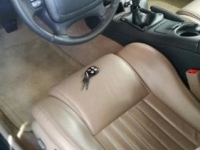 1999 Pontiac Firebird for sale in Michigan (ID-131677)