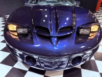 1999 Pontiac Firebird for sale in Addison, Illinois (ID-145210)