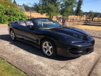 1999 Pontiac Trans Am for sale in Michigan (ID-132008)