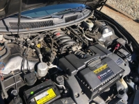 1999 Pontiac Trans Am for sale in Michigan (ID-132008)
