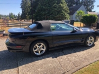 1999 Pontiac Trans Am for sale in Michigan (ID-132008)