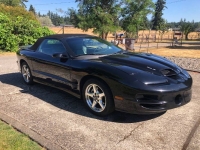 1999 Pontiac Trans Am for sale in Michigan (ID-132008)