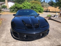1999 Pontiac Trans Am for sale in Michigan (ID-132008)
