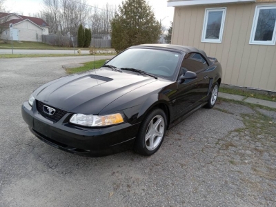 2000 Ford Mustang for sale