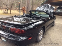 2001 Pontiac Firebird for sale in Park Rapids, Minnesota (ID-141171)