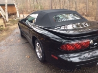 2001 Pontiac Firebird for sale in Park Rapids, Minnesota (ID-141171)