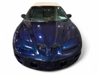 2002 Pontiac Firebird for sale in Addison, Illinois (ID-142311)