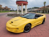 2002 Pontiac Trans Am for sale (ID-124747)