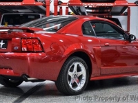 2003 Ford Mustang for sale in Riverhead, New York (ID-137325)