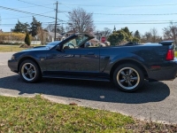 2003 Ford Mustang for sale in Riverhead, New York (ID-142295)