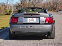 2003 Ford Mustang for sale in Riverhead, New York (ID-161004)