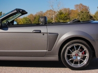 2003 Ford Mustang for sale (ID-161166)