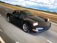 2004 Chevrolet Corvette for sale in Addison, Illinois (ID-140697)