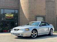 2004 Ford Mustang for sale in Addison, Illinois (ID-132483)