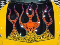 2005 Chevrolet Corvette for sale in Addison, Illinois (ID-142048)