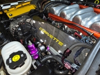2005 Chevrolet Corvette for sale in Addison, Illinois (ID-142048)