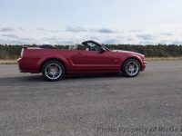 2005 Ford Mustang for sale in Riverhead, New York (ID-137430)