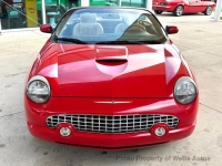 2005 Ford Thunderbird for sale in Riverhead, New York (ID-162323)