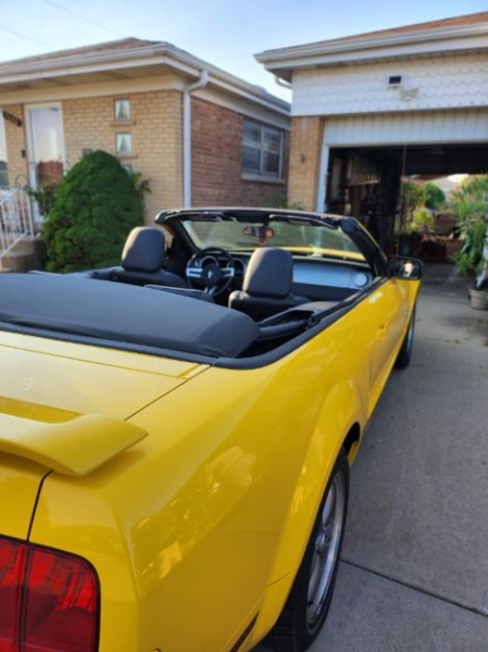 2006 Ford Mustang for sale (ID-118496) 2006 Ford Mustang for sale (ID-118496)