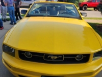 2006 Ford Mustang for sale (ID-118496)