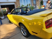 2006 Ford Mustang for sale (ID-118496)