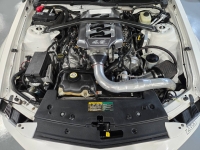 2006 Ford Mustang for sale in Addison, Illinois (ID-139903)
