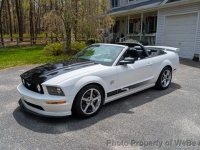 2006 Ford Mustang for sale in Riverhead, New York (ID-141490)