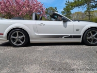 2006 Ford Mustang for sale in Riverhead, New York (ID-141490)
