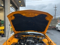 2007 Ford Mustang for sale in Riverhead, New York (ID-137434)