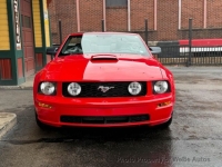2007 Ford Mustang for sale in Riverhead, New York (ID-161938)